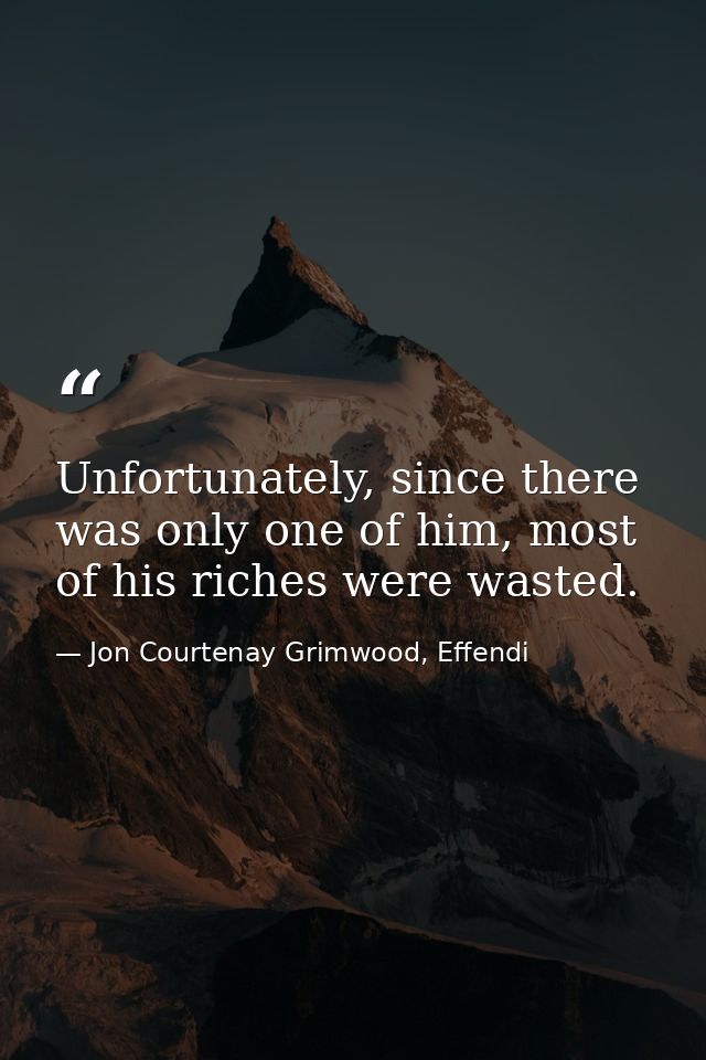 Unfortunately, since there was only one of him, most of his riches were wasted. — Jon Courtenay Grimwood, Effendi