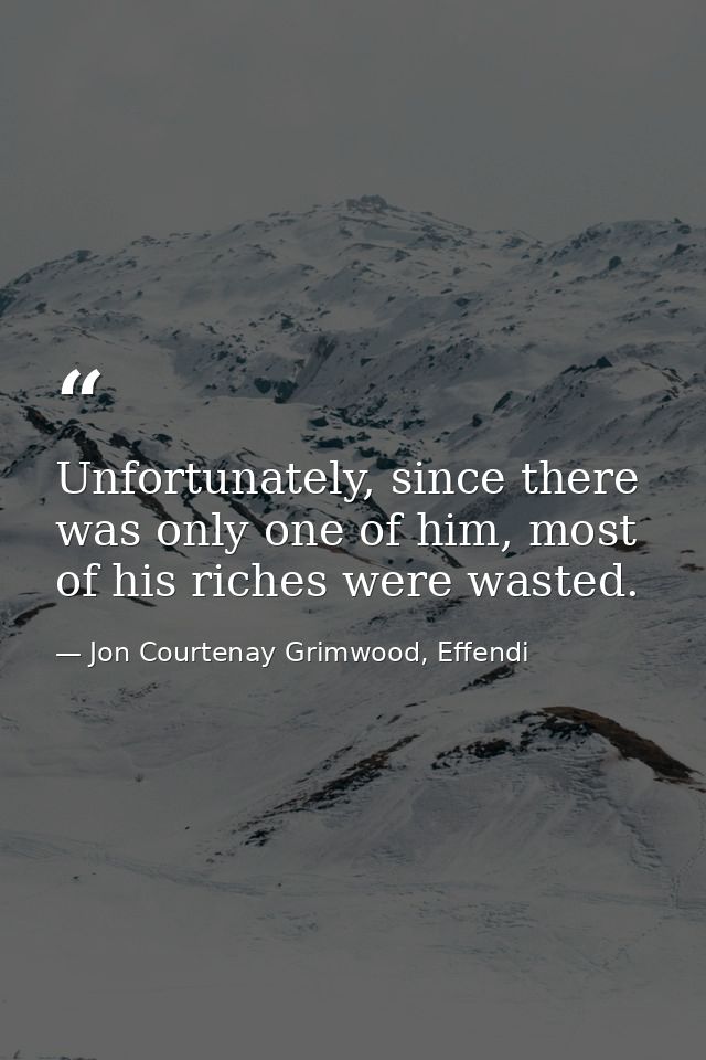 Unfortunately, since there was only one of him, most of his riches were wasted. — Jon Courtenay Grimwood, Effendi