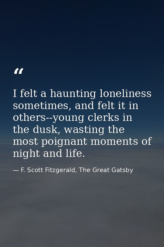 I felt a haunting loneliness sometimes, and felt it in others--young clerks in the dusk, wasting the most poignant momen — F. Scott Fitzgerald, The Great Gatsby