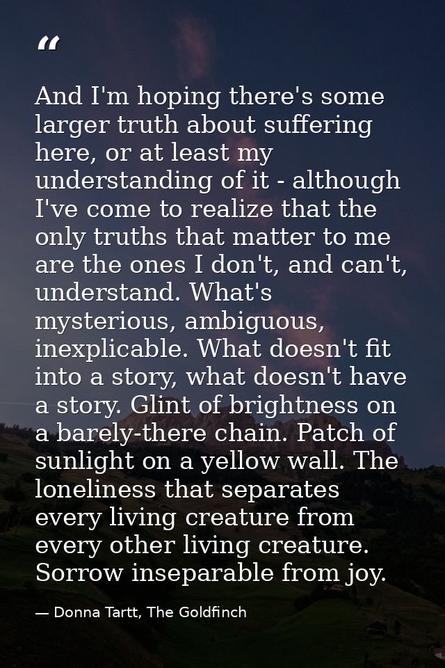 And I'm hoping there's some larger truth about suffering here, or at least my understanding of it - although I've come t — Donna Tartt, The Goldfinch