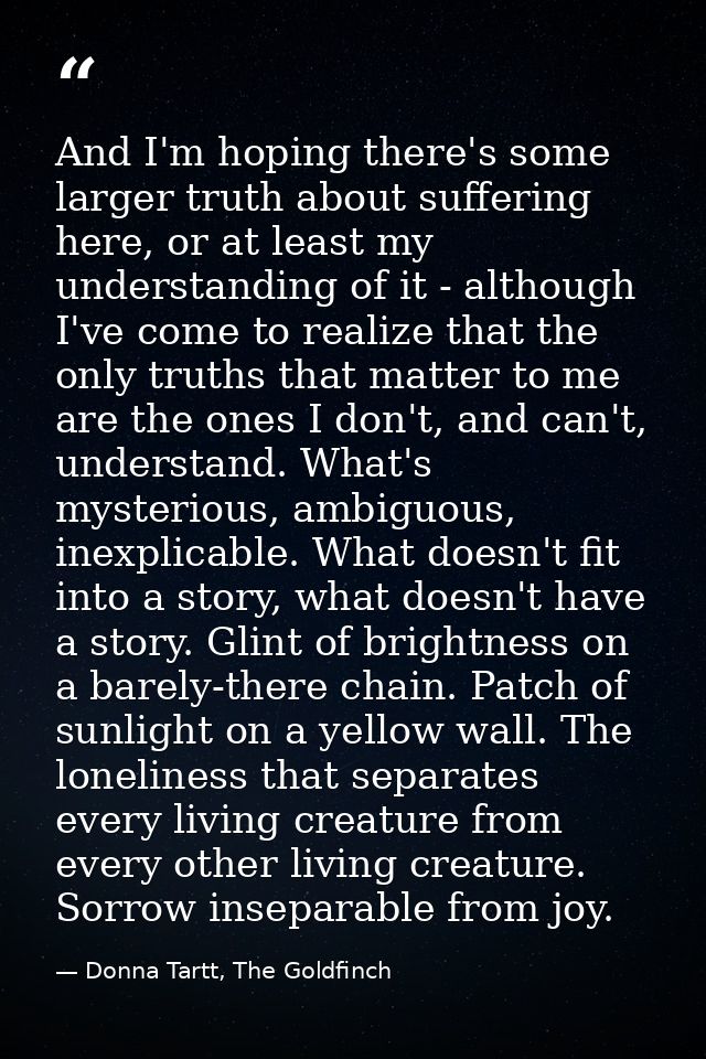 And I'm hoping there's some larger truth about suffering here, or at least my understanding of it - although I've come t — Donna Tartt, The Goldfinch