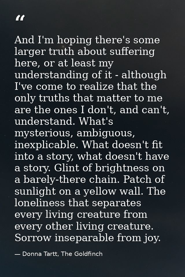 And I'm hoping there's some larger truth about suffering here, or at least my understanding of it - although I've come t — Donna Tartt, The Goldfinch