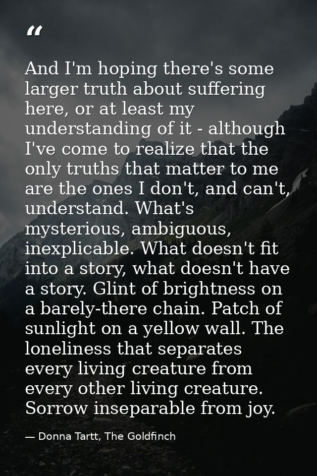And I'm hoping there's some larger truth about suffering here, or at least my understanding of it - although I've come t — Donna Tartt, The Goldfinch
