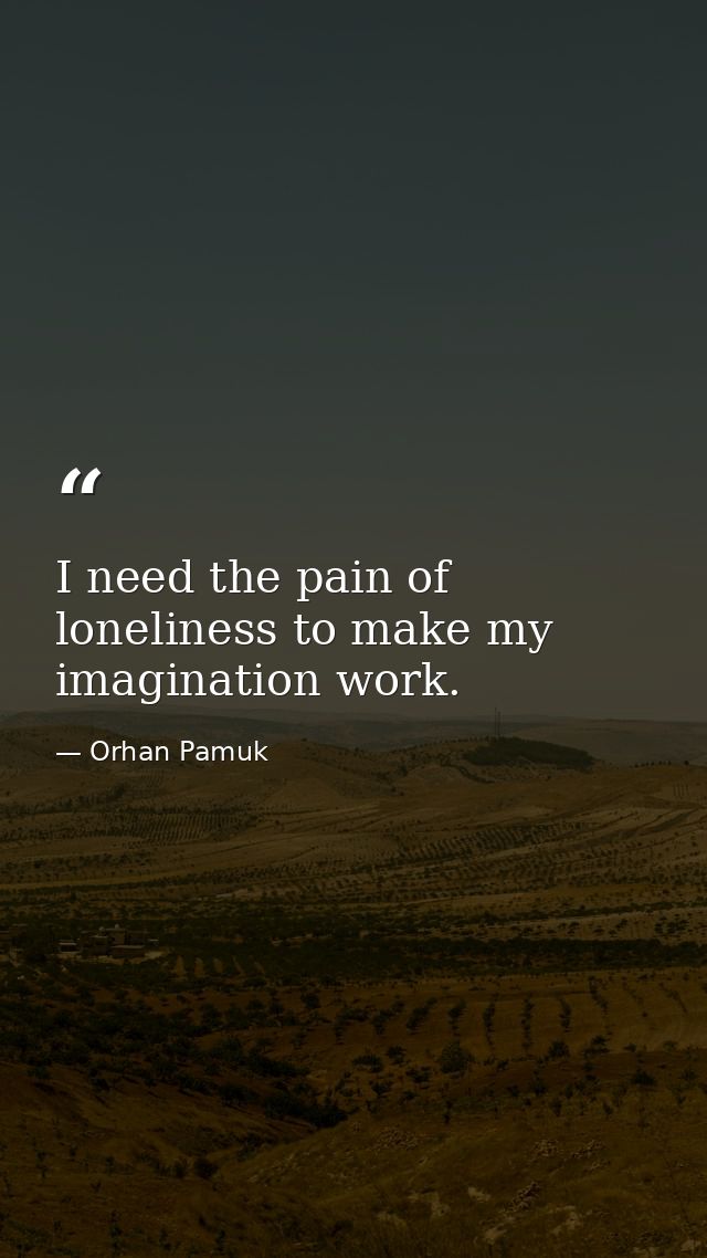 I need the pain of loneliness to make my imagination work. — Orhan Pamuk