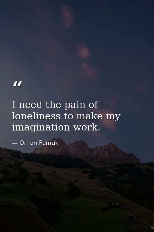 I need the pain of loneliness to make my imagination work. — Orhan Pamuk