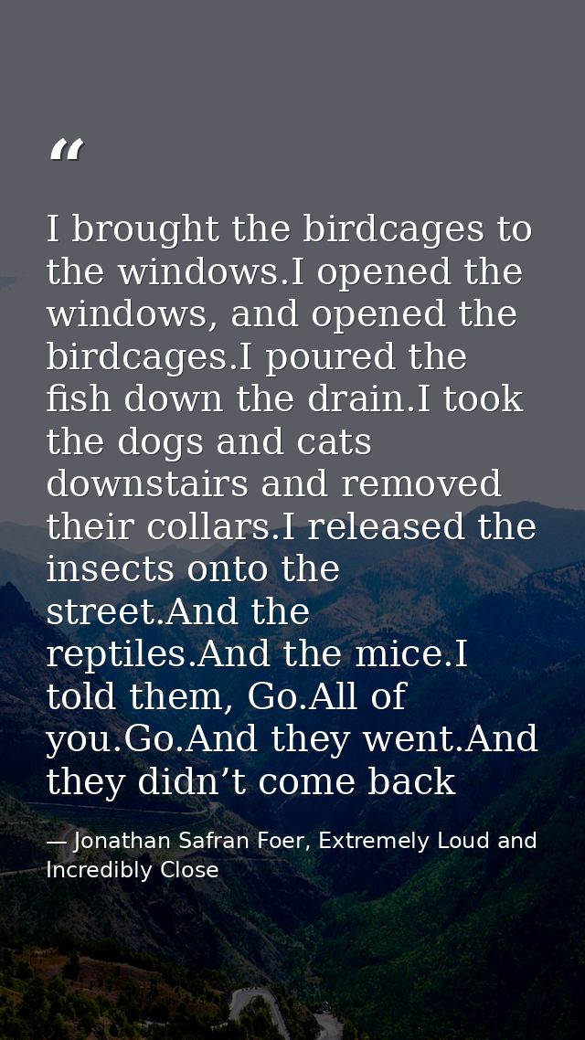 I brought the birdcages to the windows.I opened the windows, and opened the birdcages.I poured the fish down the drain.I — Jonathan Safran Foer, Extremely Loud and Incredibly Close