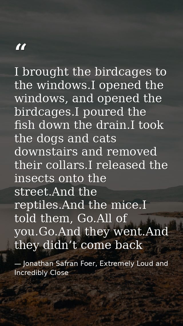 I brought the birdcages to the windows.I opened the windows, and opened the birdcages.I poured the fish down the drain.I — Jonathan Safran Foer, Extremely Loud and Incredibly Close