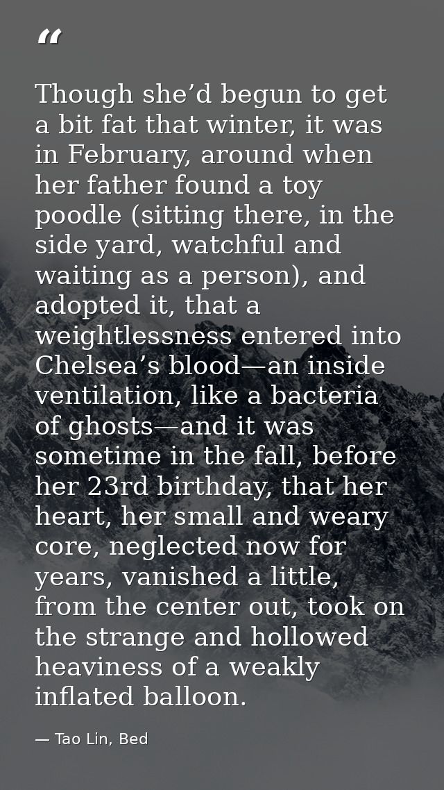 Though she’d begun to get a bit fat that winter, it was in February, around when her father found a toy poodle (sitting  — Tao Lin, Bed