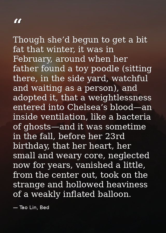 Though she’d begun to get a bit fat that winter, it was in February, around when her father found a toy poodle (sitting  — Tao Lin, Bed