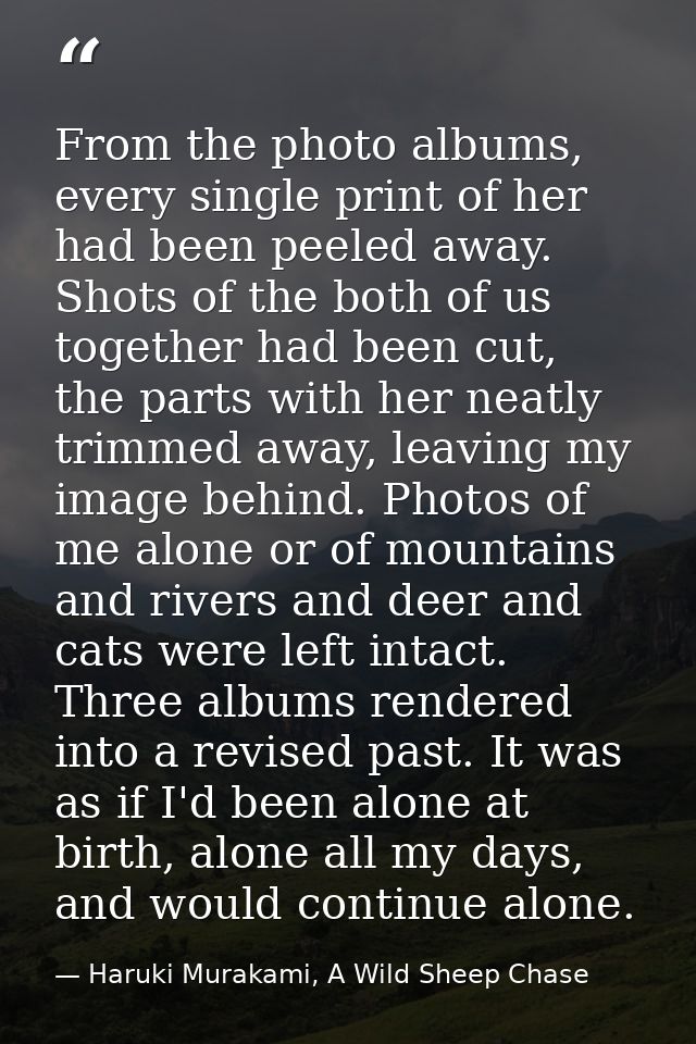 From the photo albums, every single print of her had been peeled away. Shots of the both of us together had been cut, th — Haruki Murakami, A Wild Sheep Chase