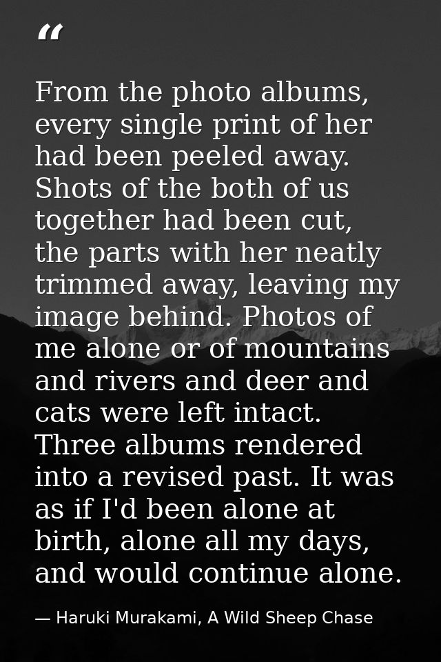 From the photo albums, every single print of her had been peeled away. Shots of the both of us together had been cut, th — Haruki Murakami, A Wild Sheep Chase