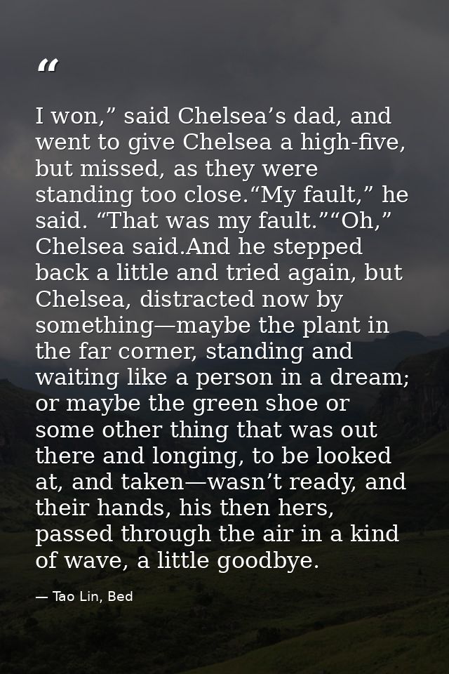 I won,” said Chelsea’s dad, and went to give Chelsea a high-five, but missed, as they were standing too close.“My fault, — Tao Lin, Bed