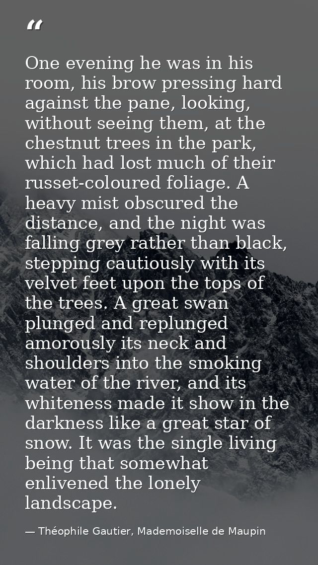 One evening he was in his room, his brow pressing hard against the pane, looking, without seeing them, at the chestnut t — Théophile Gautier, Mademoiselle de Maupin
