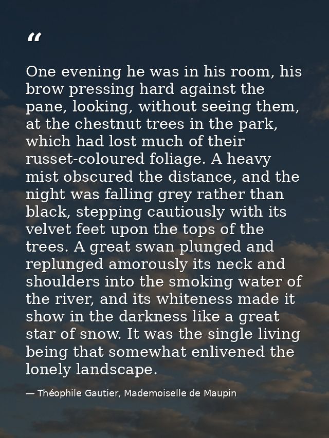 One evening he was in his room, his brow pressing hard against the pane, looking, without seeing them, at the chestnut t — Théophile Gautier, Mademoiselle de Maupin