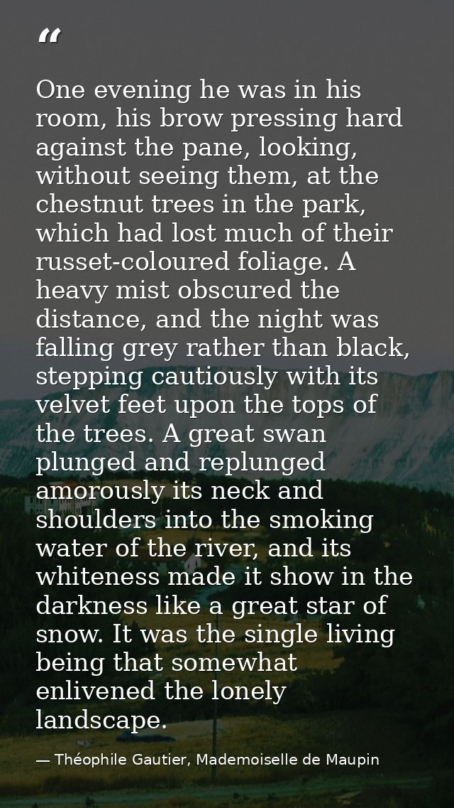 One evening he was in his room, his brow pressing hard against the pane, looking, without seeing them, at the chestnut t — Théophile Gautier, Mademoiselle de Maupin