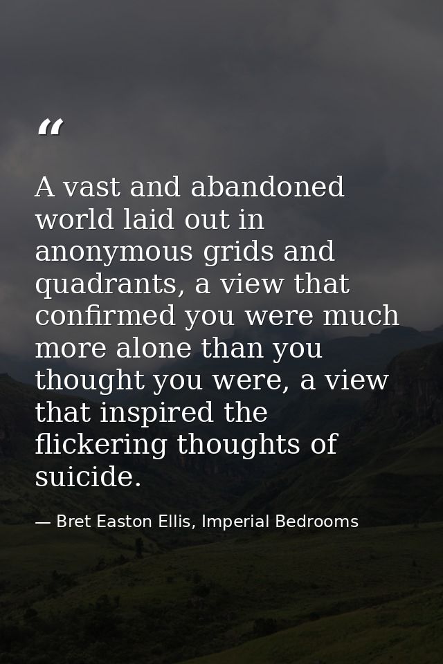 A vast and abandoned world laid out in anonymous grids and quadrants, a view that confirmed you were much more alone tha — Bret Easton Ellis, Imperial Bedrooms