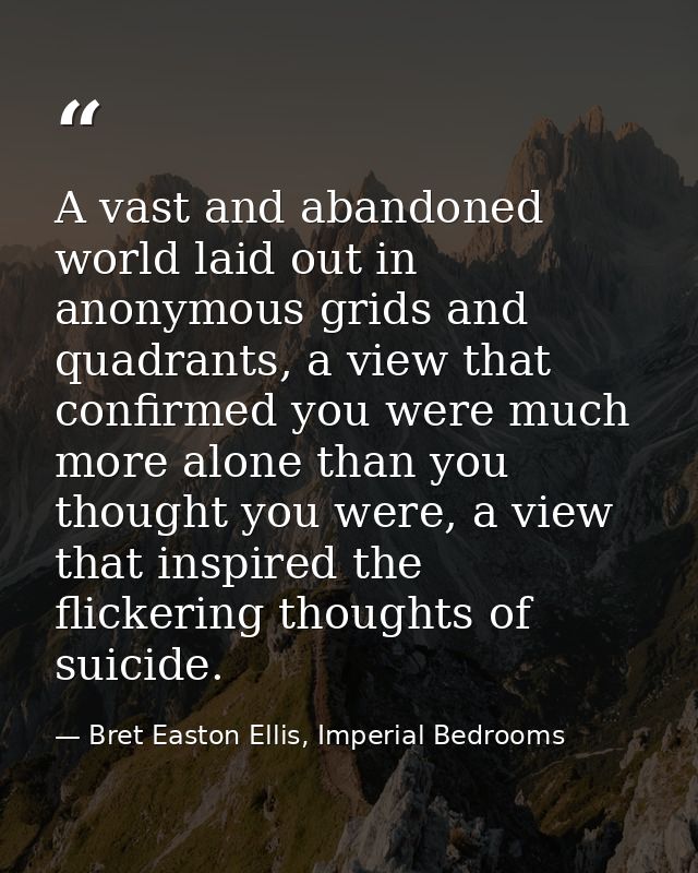 A vast and abandoned world laid out in anonymous grids and quadrants, a view that confirmed you were much more alone tha — Bret Easton Ellis, Imperial Bedrooms