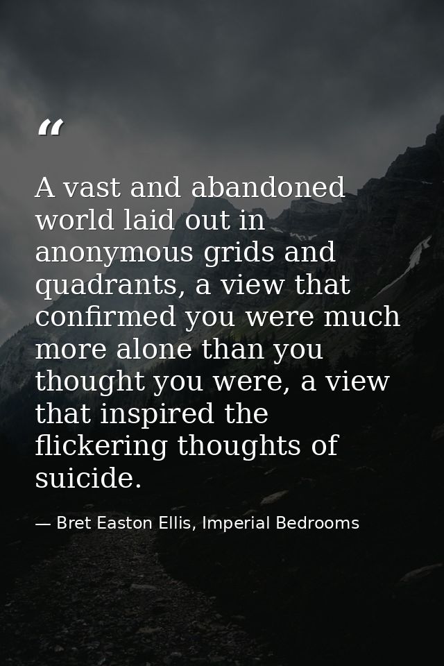 A vast and abandoned world laid out in anonymous grids and quadrants, a view that confirmed you were much more alone tha — Bret Easton Ellis, Imperial Bedrooms