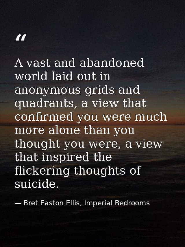 A vast and abandoned world laid out in anonymous grids and quadrants, a view that confirmed you were much more alone tha — Bret Easton Ellis, Imperial Bedrooms