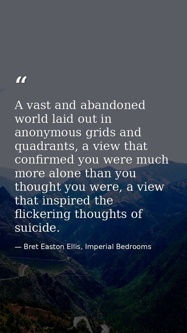 A vast and abandoned world laid out in anonymous grids and quadrants, a view that confirmed you were much more alone tha — Bret Easton Ellis, Imperial Bedrooms