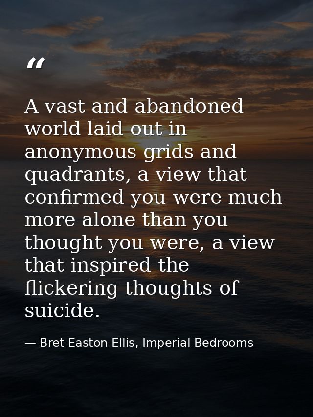 A vast and abandoned world laid out in anonymous grids and quadrants, a view that confirmed you were much more alone tha — Bret Easton Ellis, Imperial Bedrooms