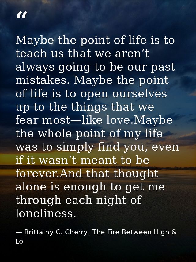 Maybe the point of life is to teach us that we aren’t always going to be our past mistakes. Maybe the point of life is t — Brittainy C. Cherry, The Fire Between High & Lo