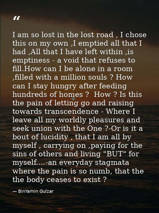 I am so lost in the lost road , I chose this on my own ,I emptied all that I had ,All that I have left within ,is emptin — BinYamin Gulzar