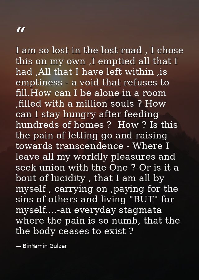 I am so lost in the lost road , I chose this on my own ,I emptied all that I had ,All that I have left within ,is emptin — BinYamin Gulzar