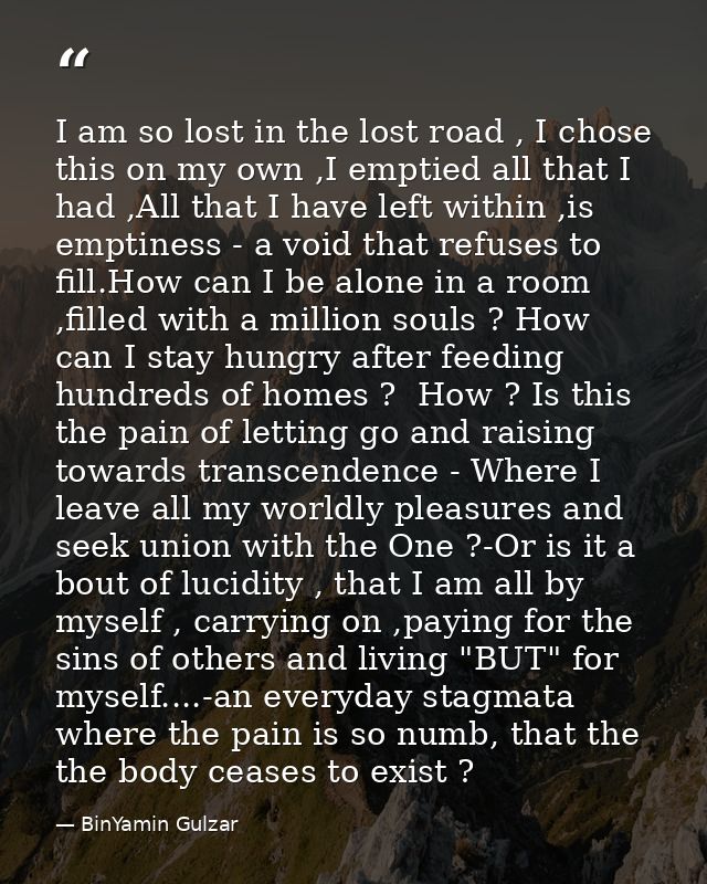 I am so lost in the lost road , I chose this on my own ,I emptied all that I had ,All that I have left within ,is emptin — BinYamin Gulzar