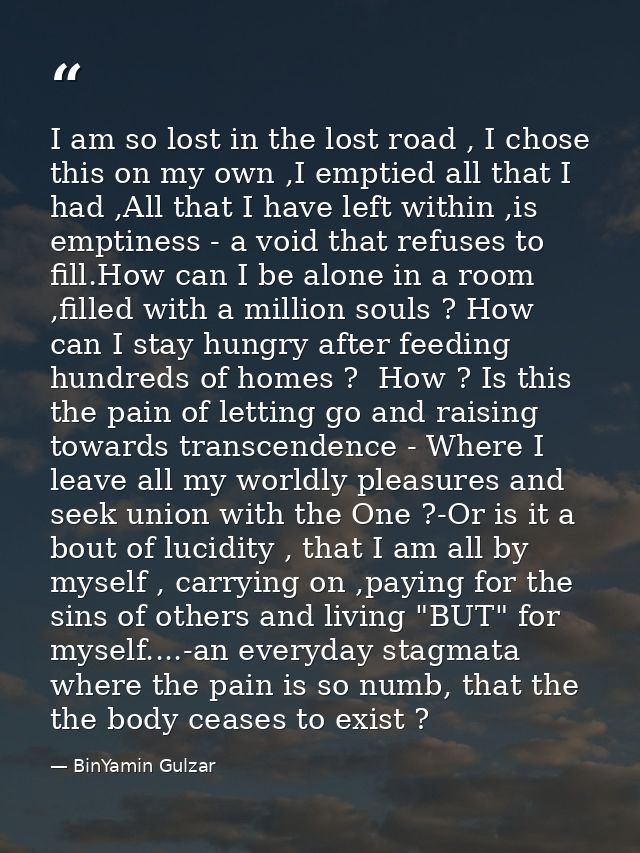 I am so lost in the lost road , I chose this on my own ,I emptied all that I had ,All that I have left within ,is emptin — BinYamin Gulzar