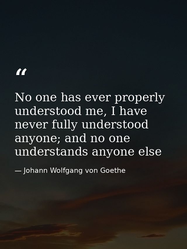 No one has ever properly understood me, I have never fully understood anyone; and no one understands anyone else — Johann Wolfgang von Goethe