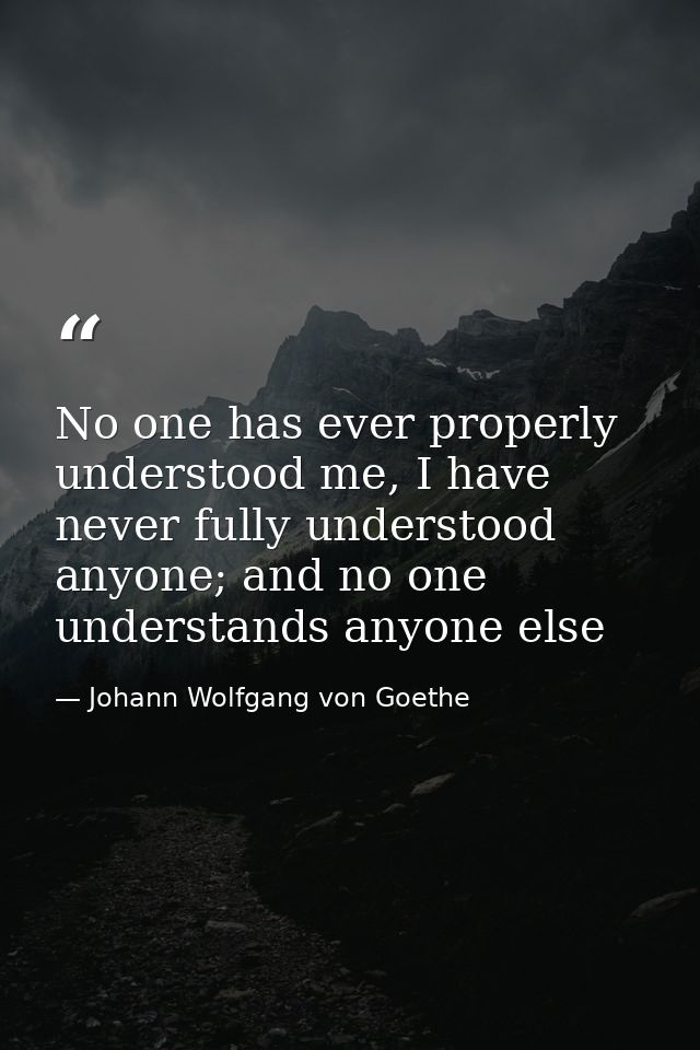 No one has ever properly understood me, I have never fully understood anyone; and no one understands anyone else — Johann Wolfgang von Goethe
