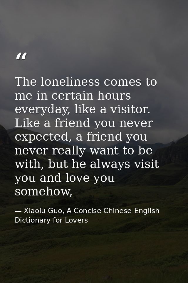 The loneliness comes to me in certain hours everyday, like a visitor. Like a friend you never expected, a friend you nev — Xiaolu Guo, A Concise Chinese-English Dictionary for Lovers