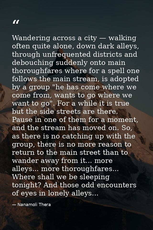 Wandering across a city — walking often quite alone, down dark alleys, through unfrequented districts and debouching sud — Nanamoli Thera