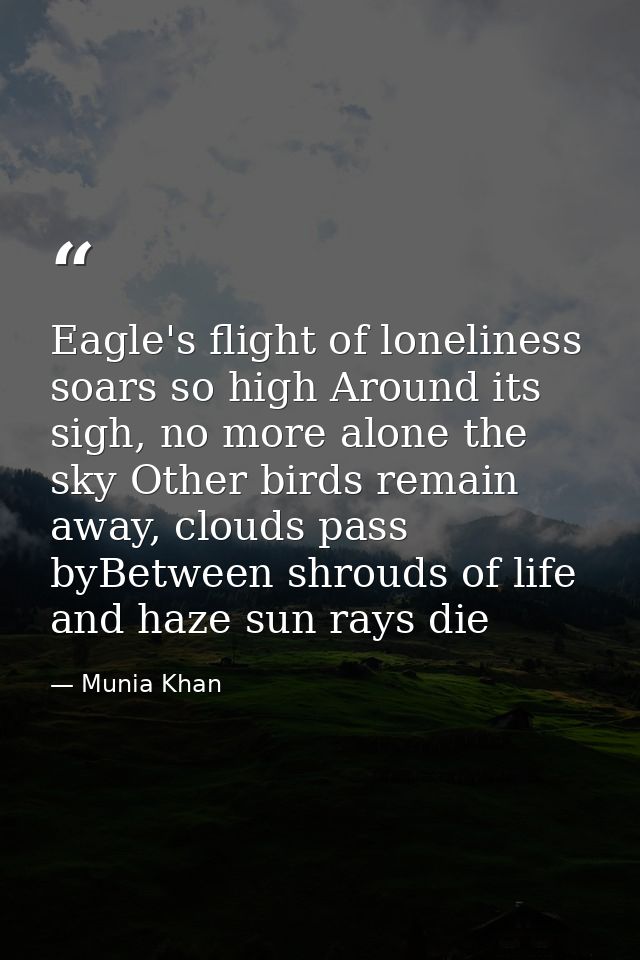 Eagle's flight of loneliness soars so high Around its sigh, no more alone the sky Other birds remain away, clouds pass b — Munia Khan