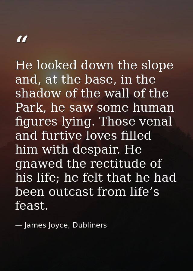 He looked down the slope and, at the base, in the shadow of the wall of the Park, he saw some human figures lying. Those — James Joyce, Dubliners