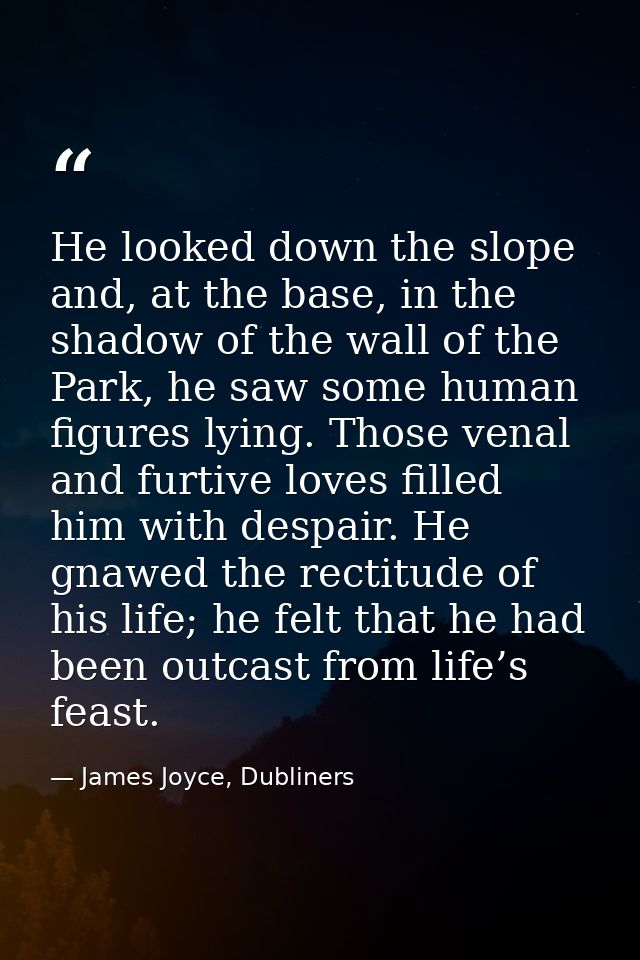 He looked down the slope and, at the base, in the shadow of the wall of the Park, he saw some human figures lying. Those — James Joyce, Dubliners
