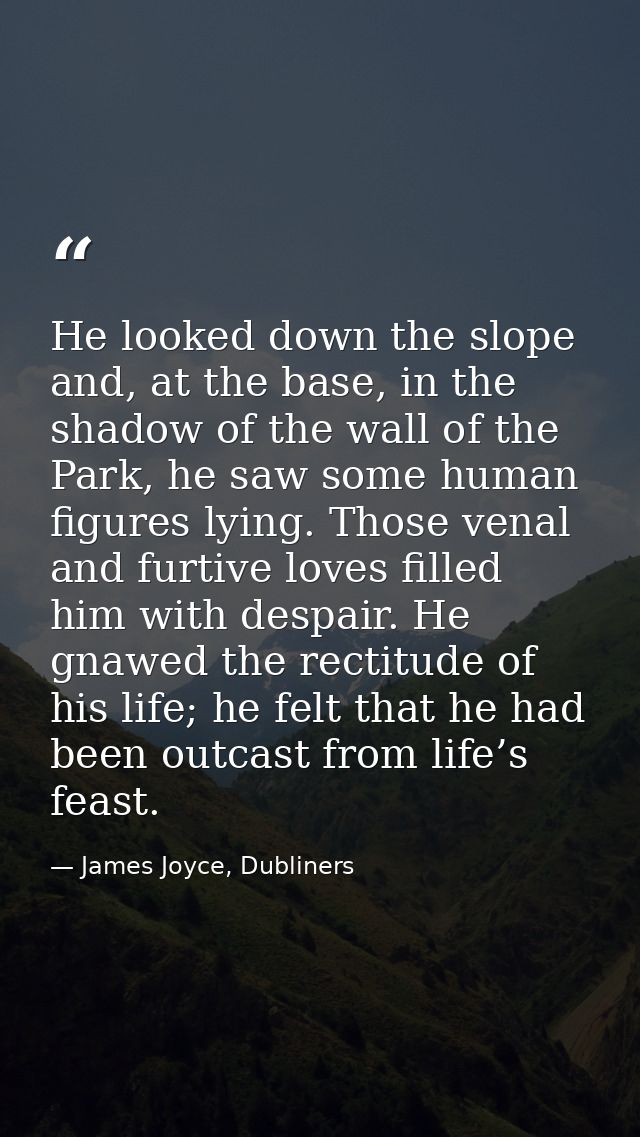 He looked down the slope and, at the base, in the shadow of the wall of the Park, he saw some human figures lying. Those — James Joyce, Dubliners