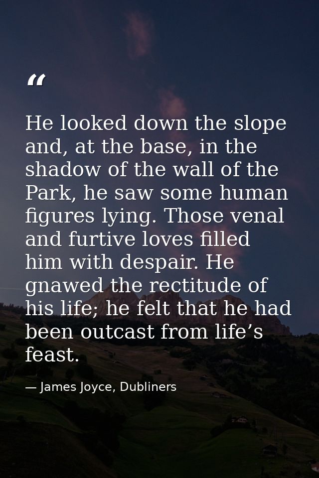 He looked down the slope and, at the base, in the shadow of the wall of the Park, he saw some human figures lying. Those — James Joyce, Dubliners