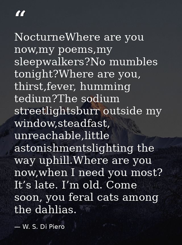 NocturneWhere are you now,my poems,my sleepwalkers?No mumbles tonight?Where are you, thirst,fever, humming tedium?The so — W. S. Di Piero