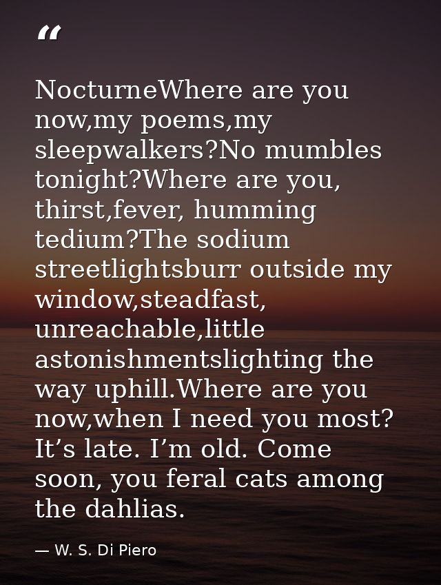NocturneWhere are you now,my poems,my sleepwalkers?No mumbles tonight?Where are you, thirst,fever, humming tedium?The so — W. S. Di Piero
