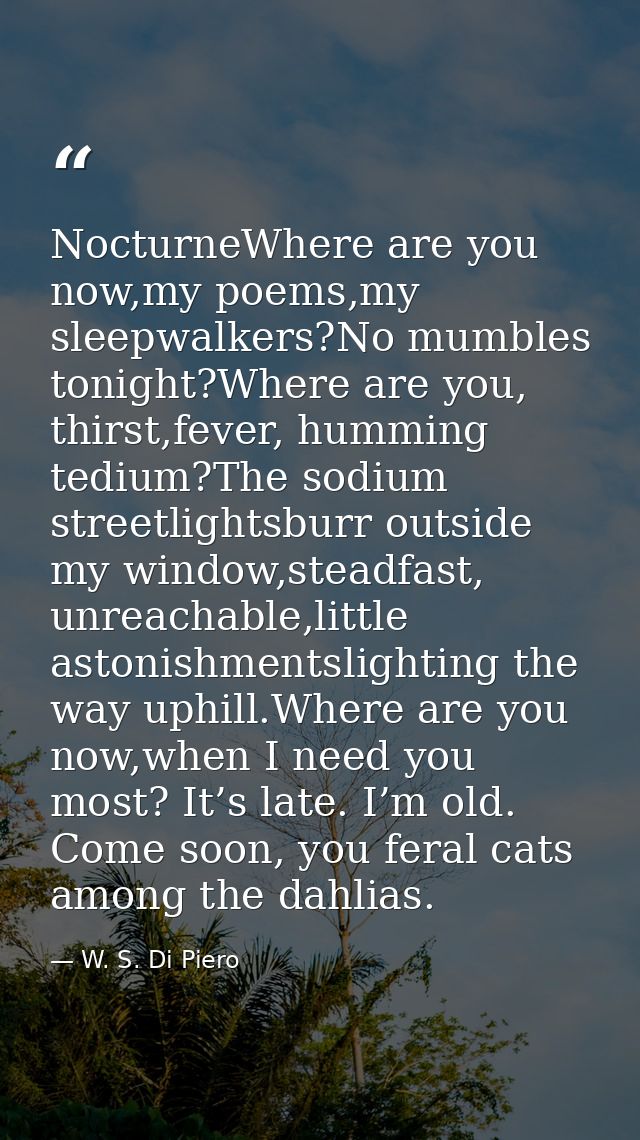 NocturneWhere are you now,my poems,my sleepwalkers?No mumbles tonight?Where are you, thirst,fever, humming tedium?The so — W. S. Di Piero