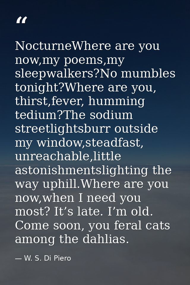 NocturneWhere are you now,my poems,my sleepwalkers?No mumbles tonight?Where are you, thirst,fever, humming tedium?The so — W. S. Di Piero