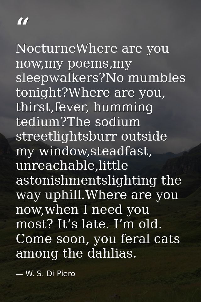 NocturneWhere are you now,my poems,my sleepwalkers?No mumbles tonight?Where are you, thirst,fever, humming tedium?The so — W. S. Di Piero