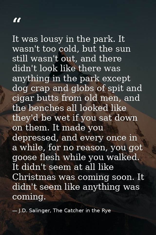 It was lousy in the park. It wasn't too cold, but the sun still wasn't out, and there didn't look like there was anythin — J.D. Salinger, The Catcher in the Rye