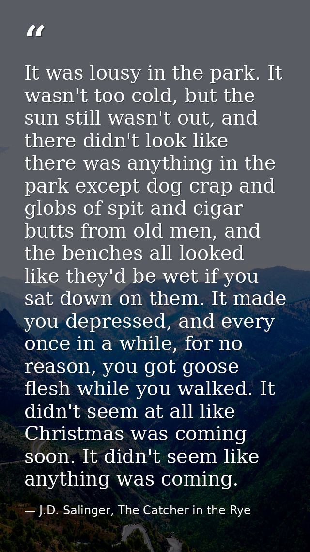 It was lousy in the park. It wasn't too cold, but the sun still wasn't out, and there didn't look like there was anythin — J.D. Salinger, The Catcher in the Rye
