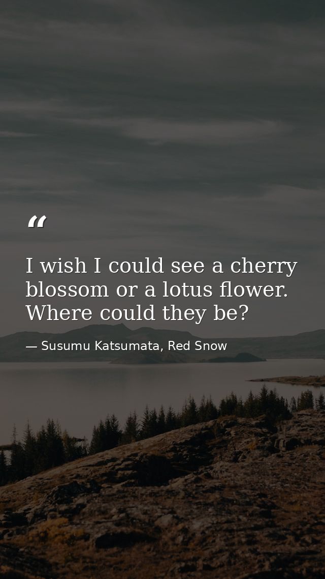 I wish I could see a cherry blossom or a lotus flower. Where could they be? — Susumu Katsumata, Red Snow