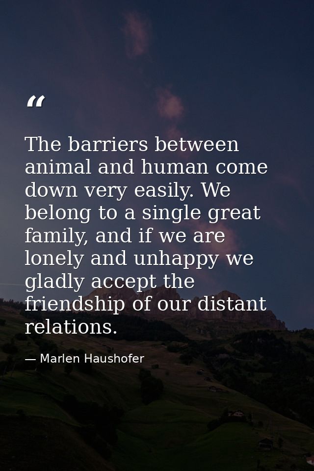 The barriers between animal and human come down very easily. We belong to a single great family, and if we are lonely an — Marlen Haushofer