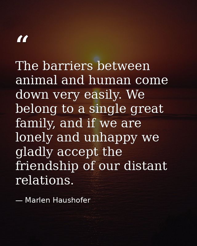 The barriers between animal and human come down very easily. We belong to a single great family, and if we are lonely an — Marlen Haushofer