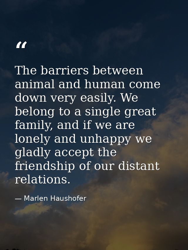 The barriers between animal and human come down very easily. We belong to a single great family, and if we are lonely an — Marlen Haushofer